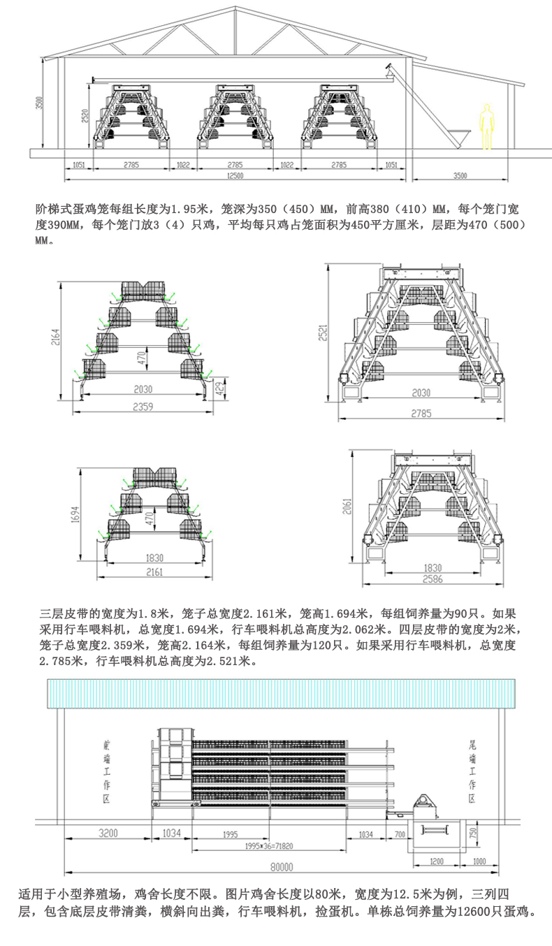 未标题-4