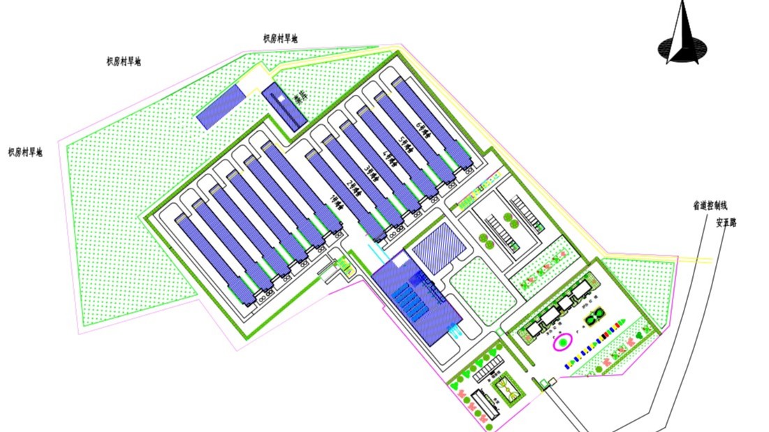 现代化鸡舍建设之畜禽养殖场设计原则与规划布局