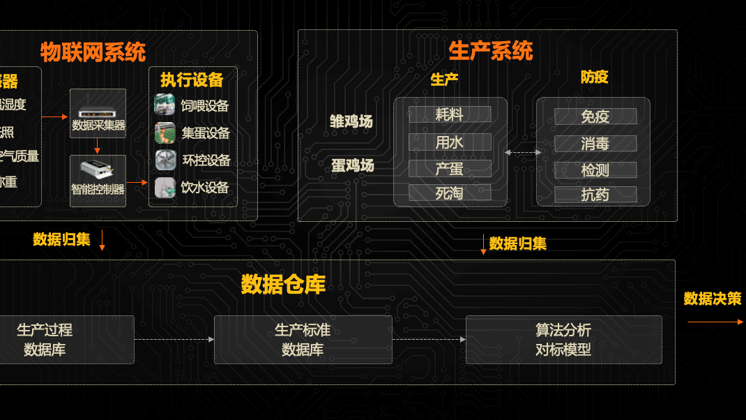 以数字化、智能化推动蛋鸡产业高质量发展