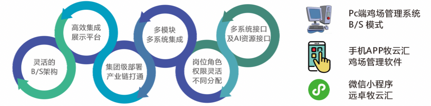 组 41169.png